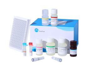 人白细胞介素6(IL-6)ELISA试剂盒