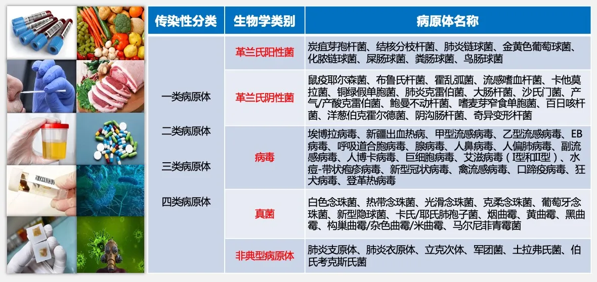 谱安纳新品上市--微生物捕获磁珠（非免疫法）