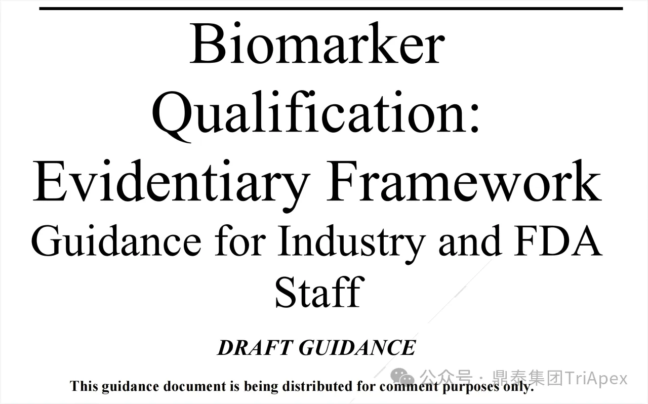 VCTE in MASH: From Clinical Utility to Regulatory-Grade Biomarker Potential