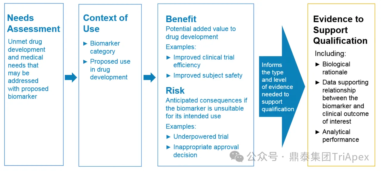 VCTE in MASH: From Clinical Utility to Regulatory-Grade Biomarker Potential