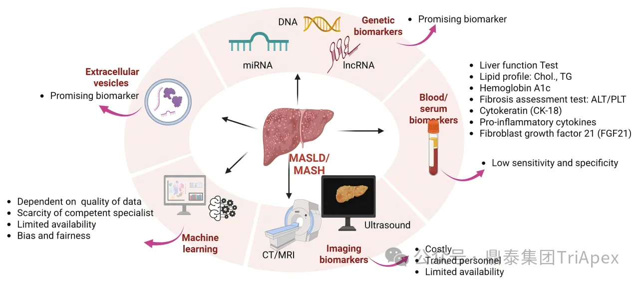VCTE in MASH: From Clinical Utility to Regulatory-Grade Biomarker Potential