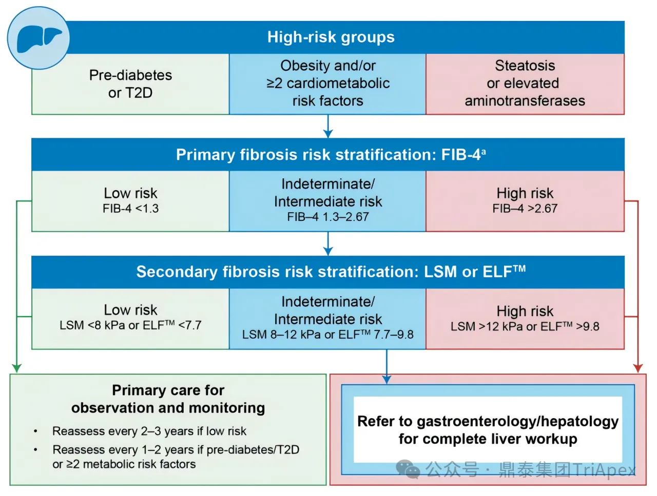 VCTE in MASH: From Clinical Utility to Regulatory-Grade Biomarker Potential