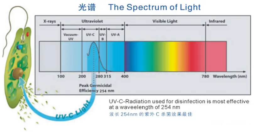 亮了≠有效！紫外线灯累计1000小时必须更换？