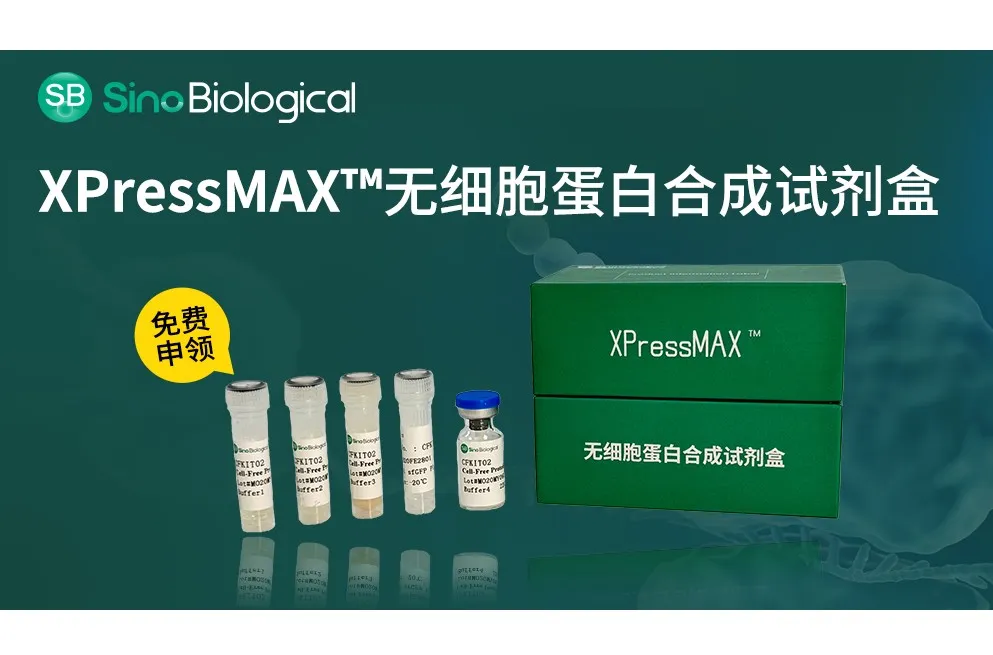 「0元试用」XPressMAX™无细胞蛋白合成试剂盒，按下AI创新药研发的“快进键”