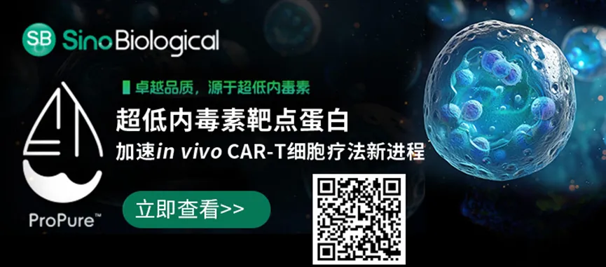 义翘神州超低内毒素蛋白助力in vivo CAR-T靶点研发