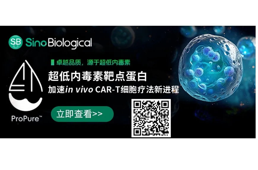 义翘神州超低内毒素蛋白助力in vivo CAR-T靶点研发