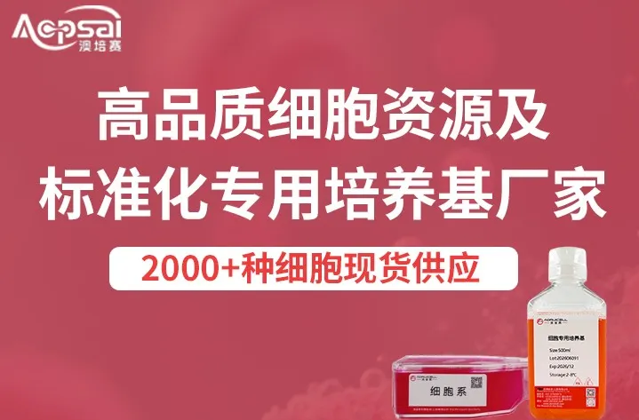 banner图片